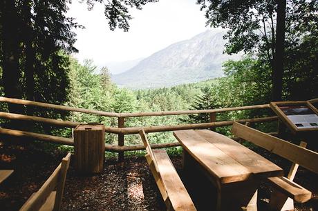 BOHINJ : S'en mettre plein les yeux avant de quitter la Slovénie.