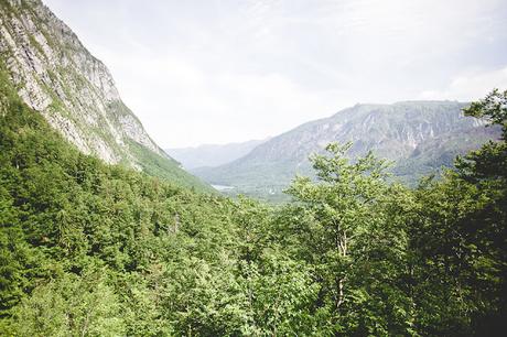 BOHINJ : S'en mettre plein les yeux avant de quitter la Slovénie.