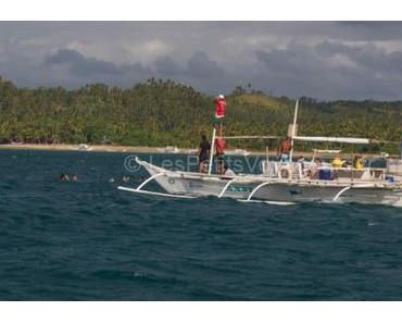 Nager avec des requins-baleines aux Philippines