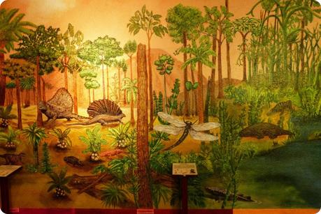 Forêt représentée au Museo de Historia natural de Quito