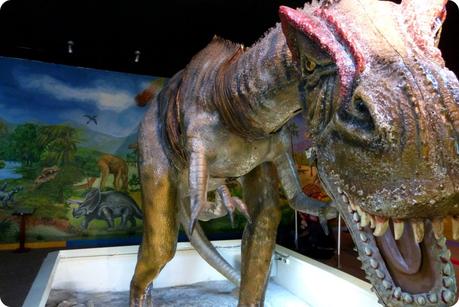 Dinausore au Museo de Historia natural de Quito : Allosaurus fragilis