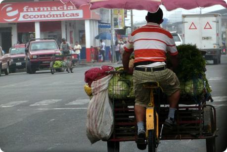 vendeur de légumes à vélo sur la route vers Pedernales