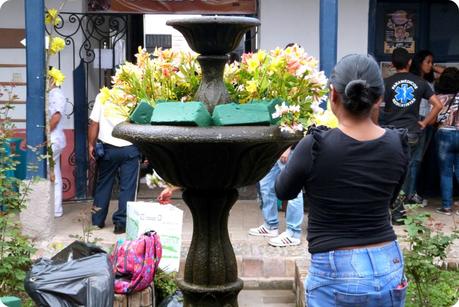 fleurs sur la fontaine du patio de la casa de la cultura de Popayán
