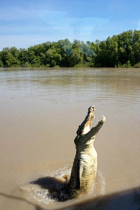 Australie : Kakadu National Park