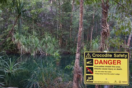 Australie : Kakadu National Park