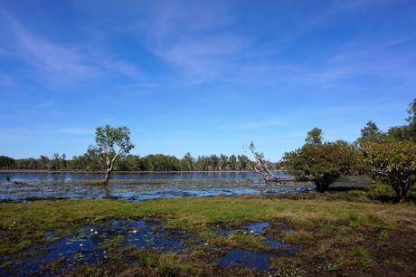 Australie : Kakadu National Park