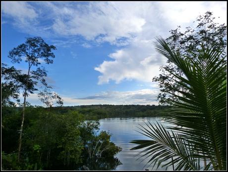 Amazonie : L’enfer vert brésilien