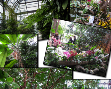 Les grandes serres du Jardin des Plantes