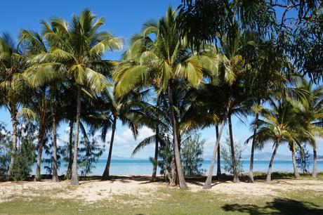 Australie : Magnetic Island