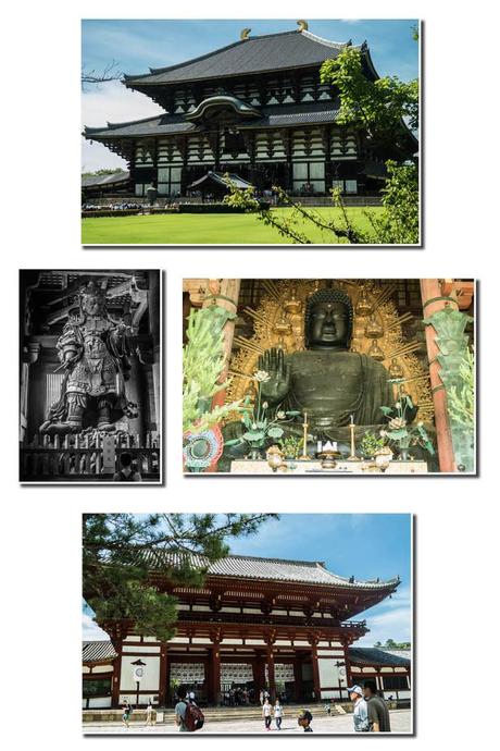#Japon 8 – Nara