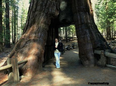 Yosemite, parc national de Californie