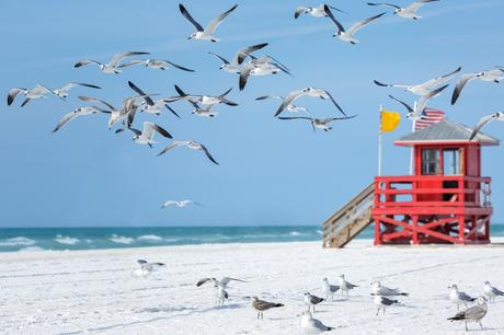 Les incontournables de Siesta Key, Floride.