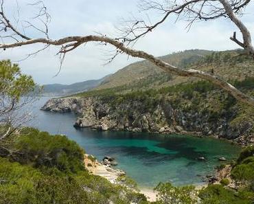Le nord d'Ibiza, notre coup de coeur