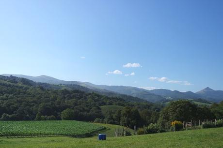 pays basque ainhoa randonnée facile pyrénées panoramique la rhune