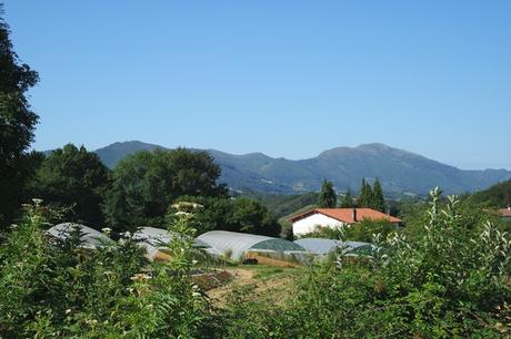 pays basque ainhoa randonnée facile pyrénées panoramique la rhune