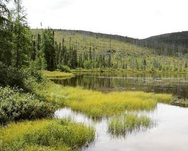 Le Boréal : récit humoristique d’une randonnée familiale