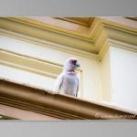 Premier pas dans le South Australia : Roadtrip de Warrnambool à Adelaide