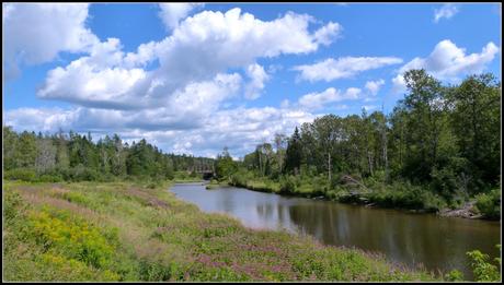 New Sweden : À la recherche des Suédois du Maine