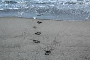 #Réflexion 3 – Sayonara le Japon !