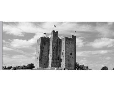 Trim Castle & Abbey