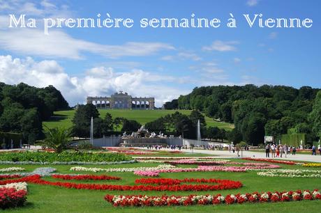 vienne vienna expatriation schonbrunn été summer jardins gloriette