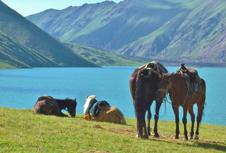Pourquoi il faut (absolument) aller se perdre au Kirghizstan? Pourquoi il faut (absolument) aller se perdre au Kirghizstan?
