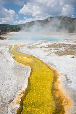 Yellowstone, jours 1 et 2