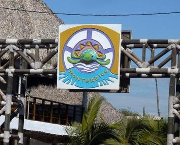 Monterrico : Tortues et mangrove sur les rives du Pacifique