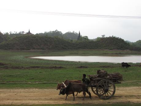 Mrauk U : à la découverte de l’ancienne cité d’or!