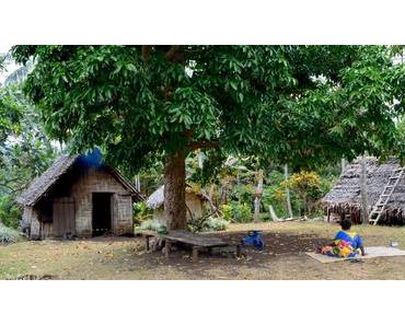 Vanuatu #7 – Le bonheur est dans le village de Botco