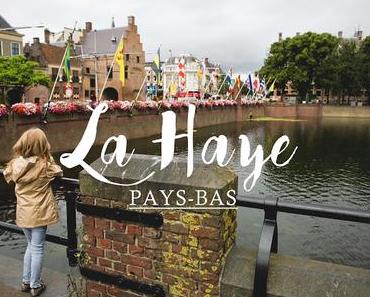 WEEK-END EN FAMILLE : 10 choses à faire à La Haye!