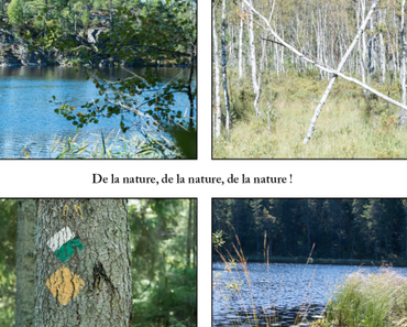 Swedish Time #2 – Tyresta National Park