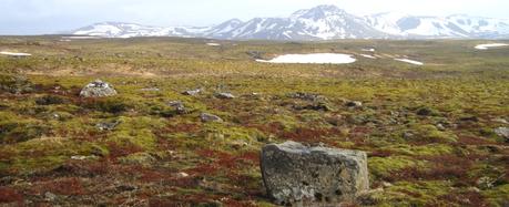 Islande : le Sud en une semaine 2/3