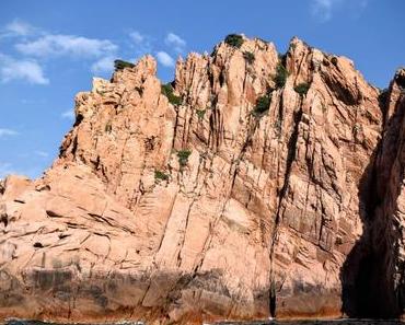 Des calanches de Piana à la réserve de Scandola en bateau