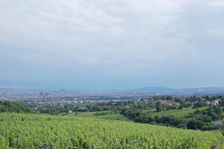 vienne vienna panorama döbling kahlenberg vignes 19 arrondissement