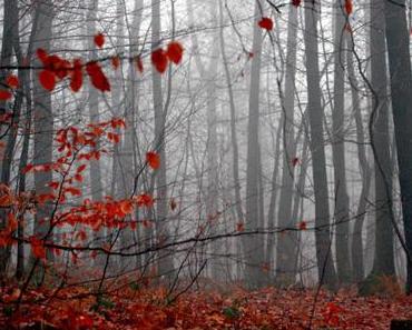 Autumn list