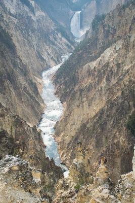 Yellowstone, son grand canyon et sa faune