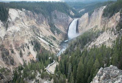 Yellowstone, son grand canyon et sa faune