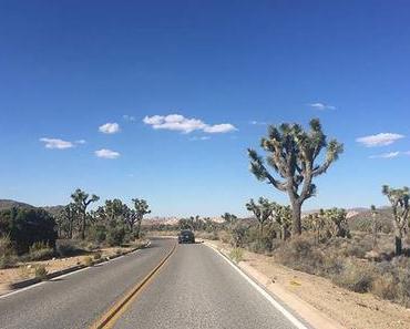 3 sites pour camper dans le désert autour de Los Angeles