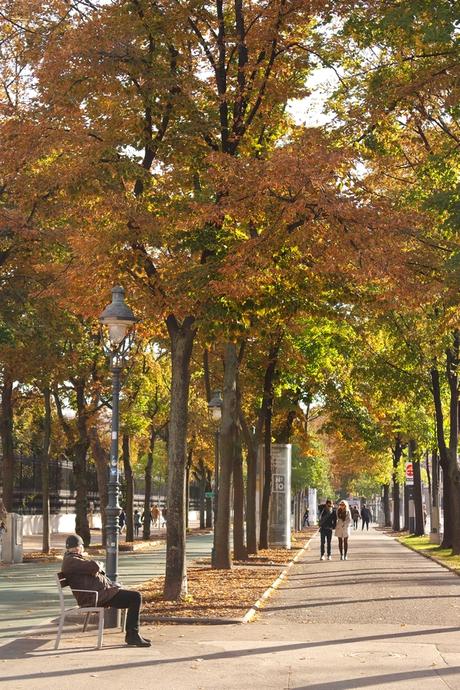 Vienne - Profiter de la ville gratuitement #2 vienne vienna ring automne