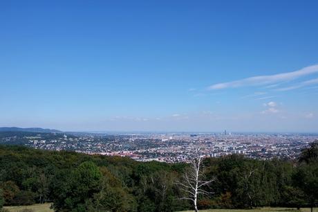 Vienne - Profiter de la ville gratuitement #2 vienne vienna lainzer tiergarten wiener blick
