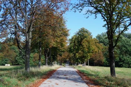 Vienne - Profiter de la ville gratuitement #2 vienne vienna lainzer tiergarten