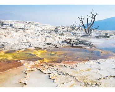 Yellowstone - Mammoth Hot Springs