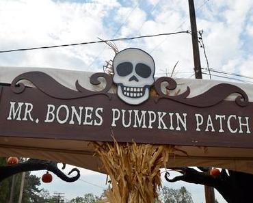 Mr. Bones Pumpkin Patch