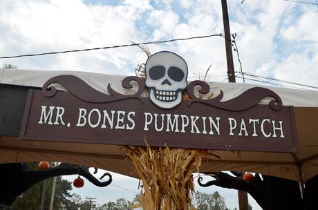 Mr. Bones Pumpkin Patch
