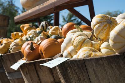 Halloween et ses préparatifs...