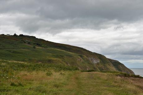 A little bit of ireland