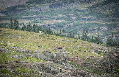 Glacier National Park (1ére partie)