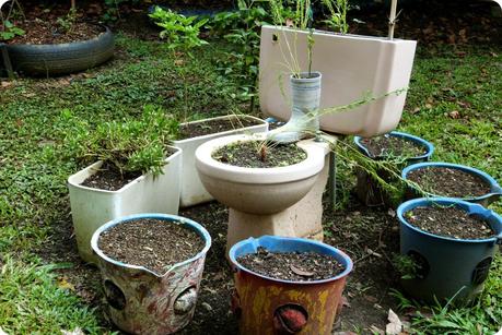 Plantes plantées dans une cuvette de toilettes au jardin botanique de Medellín