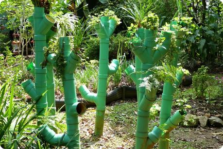 plantes dans des tubes verts au jardin botanique de Medellín